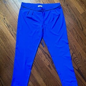 Blue Pants Stylish and Chic